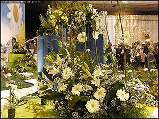    Выставка цветов