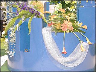    Выставка цветов