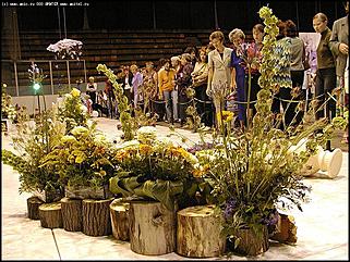    Выставка цветов