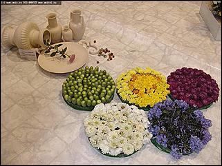    Выставка цветов