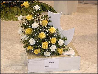    Выставка цветов