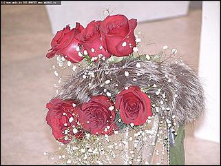    Выставка цветов