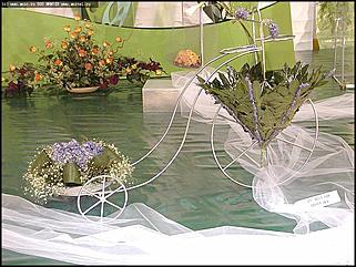    Выставка цветов