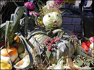    "Хлеб и зрелища"