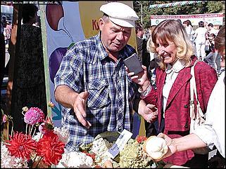    "Хлеб и зрелища"