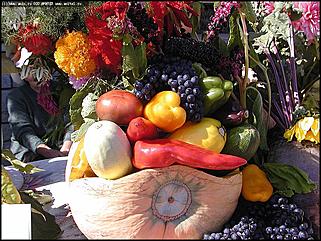    "Хлеб и зрелища"