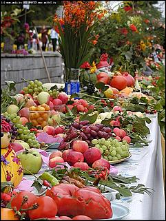   Выставка "Город мастеров"