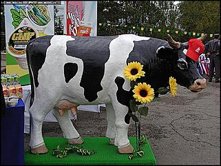    Выставка "Город мастеров"