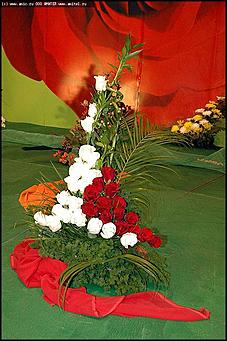    Выставка цветов<br>Ленинский район