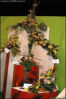    Выставка цветов<br>Ленинский район