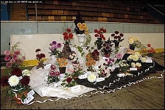    Выставка цветов<br>Ленинский район