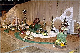    Выставка цветов<br>Центральный район