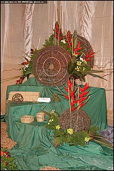    Выставка цветов<br>Центральный район