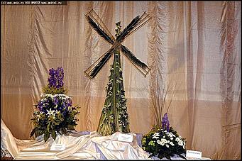    Выставка цветов<br>Центральный район