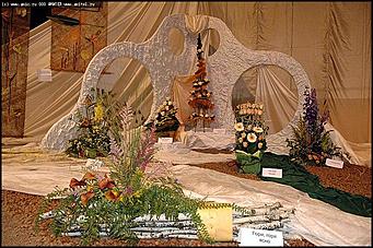    Выставка цветов<br>Центральный район