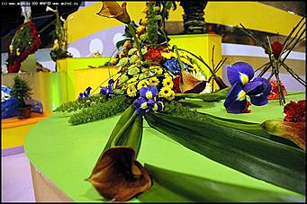    Выставка цветов<br>Индустриальный район