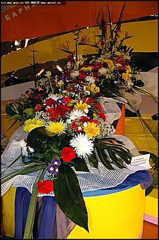    Выставка цветов<br>Индустриальный район