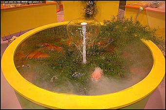    Выставка цветов<br>Индустриальный район