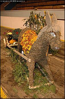    Выставка цветов<br>Индустриальный район