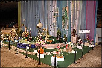    Выставка цветов<br>Октябрьский район