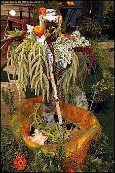    Выставка цветов<br>Октябрьский район