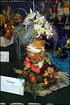    Выставка цветов<br>Октябрьский район