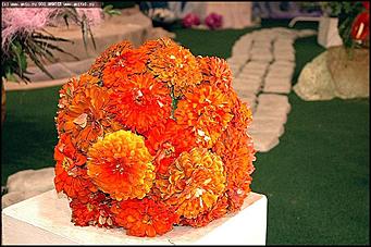    Выставка цветов<br>Октябрьский район