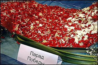    Выставка цветов<br>Железнодорожный район