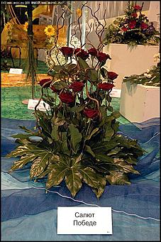    Выставка цветов<br>Железнодорожный район