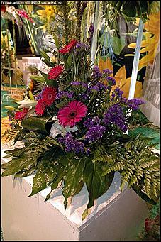    Выставка цветов<br>Железнодорожный район