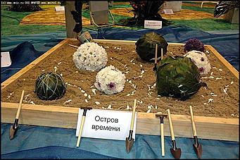    Выставка цветов<br>Железнодорожный район