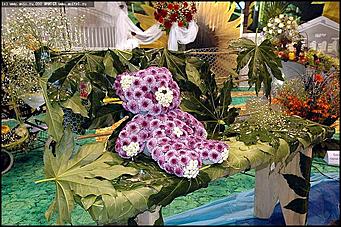    Выставка цветов<br>Железнодорожный район