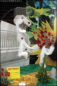    Выставка цветов<br>Железнодорожный район