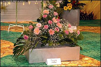    Выставка цветов<br>Железнодорожный район