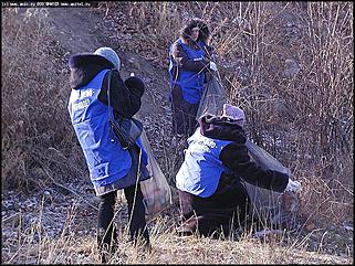    Акция "За чистый город"