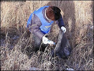    Акция "За чистый город"