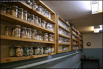    Учебно-методические сборы с руководителями отделений исследования запаховых следов человека экспертно-криминалистических подразделений, одорологических групп