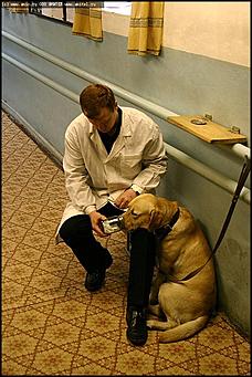    Учебно-методические сборы с руководителями отделений исследования запаховых следов человека экспертно-криминалистических подразделений, одорологических групп