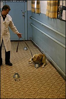    Учебно-методические сборы с руководителями отделений исследования запаховых следов человека экспертно-криминалистических подразделений, одорологических групп