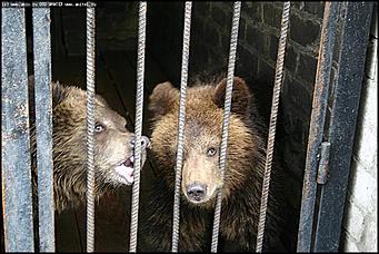    Учебно-методические сборы с руководителями отделений исследования запаховых следов человека экспертно-криминалистических подразделений, одорологических групп