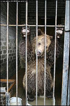    Учебно-методические сборы с руководителями отделений исследования запаховых следов человека экспертно-криминалистических подразделений, одорологических групп