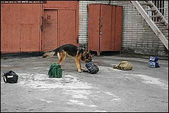    Учебно-методические сборы с руководителями отделений исследования запаховых следов человека экспертно-криминалистических подразделений, одорологических групп