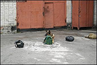    Учебно-методические сборы с руководителями отделений исследования запаховых следов человека экспертно-криминалистических подразделений, одорологических групп