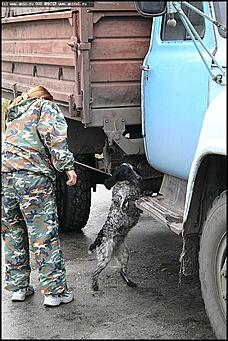    Учебно-методические сборы с руководителями отделений исследования запаховых следов человека экспертно-криминалистических подразделений, одорологических групп