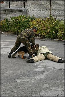    Учебно-методические сборы с руководителями отделений исследования запаховых следов человека экспертно-криминалистических подразделений, одорологических групп