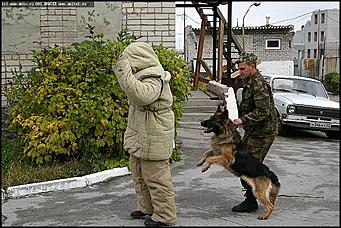    Учебно-методические сборы с руководителями отделений исследования запаховых следов человека экспертно-криминалистических подразделений, одорологических групп