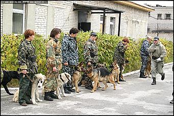    Учебно-методические сборы с руководителями отделений исследования запаховых следов человека экспертно-криминалистических подразделений, одорологических групп