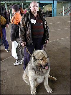    Выставка собак "Азия 2003"