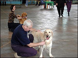    Выставка собак "Азия 2003"