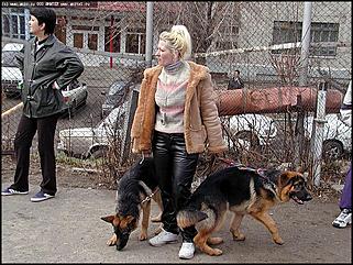    Выставка собак "Азия 2003"